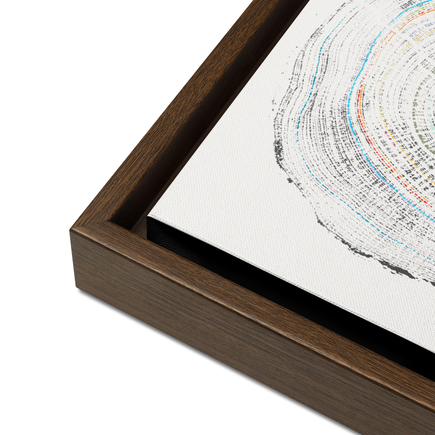 Close-up frame details of tree ring artwork on a canvas